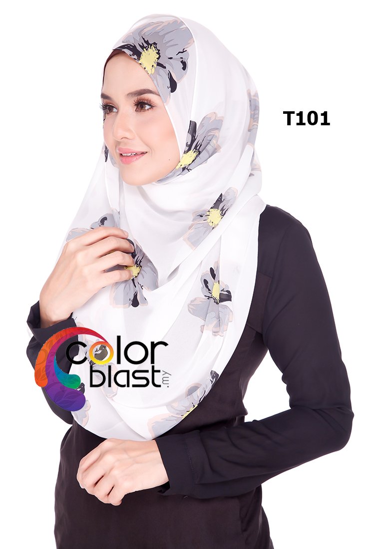 T101 - Image 2